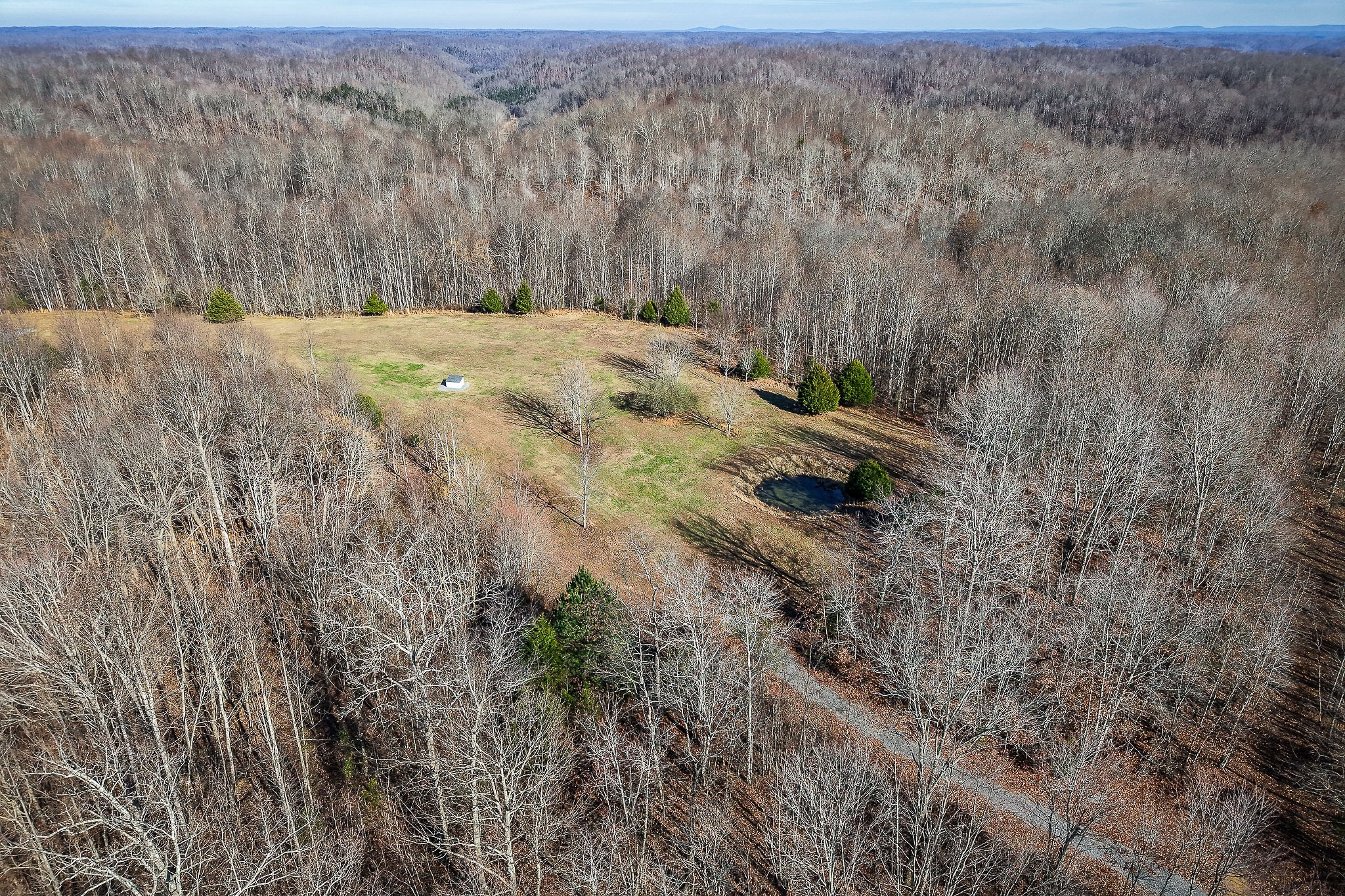 1772 South Fork Road Whitleyville, TN 38588 - Photo 6 of 38 a view of a backyard of the house