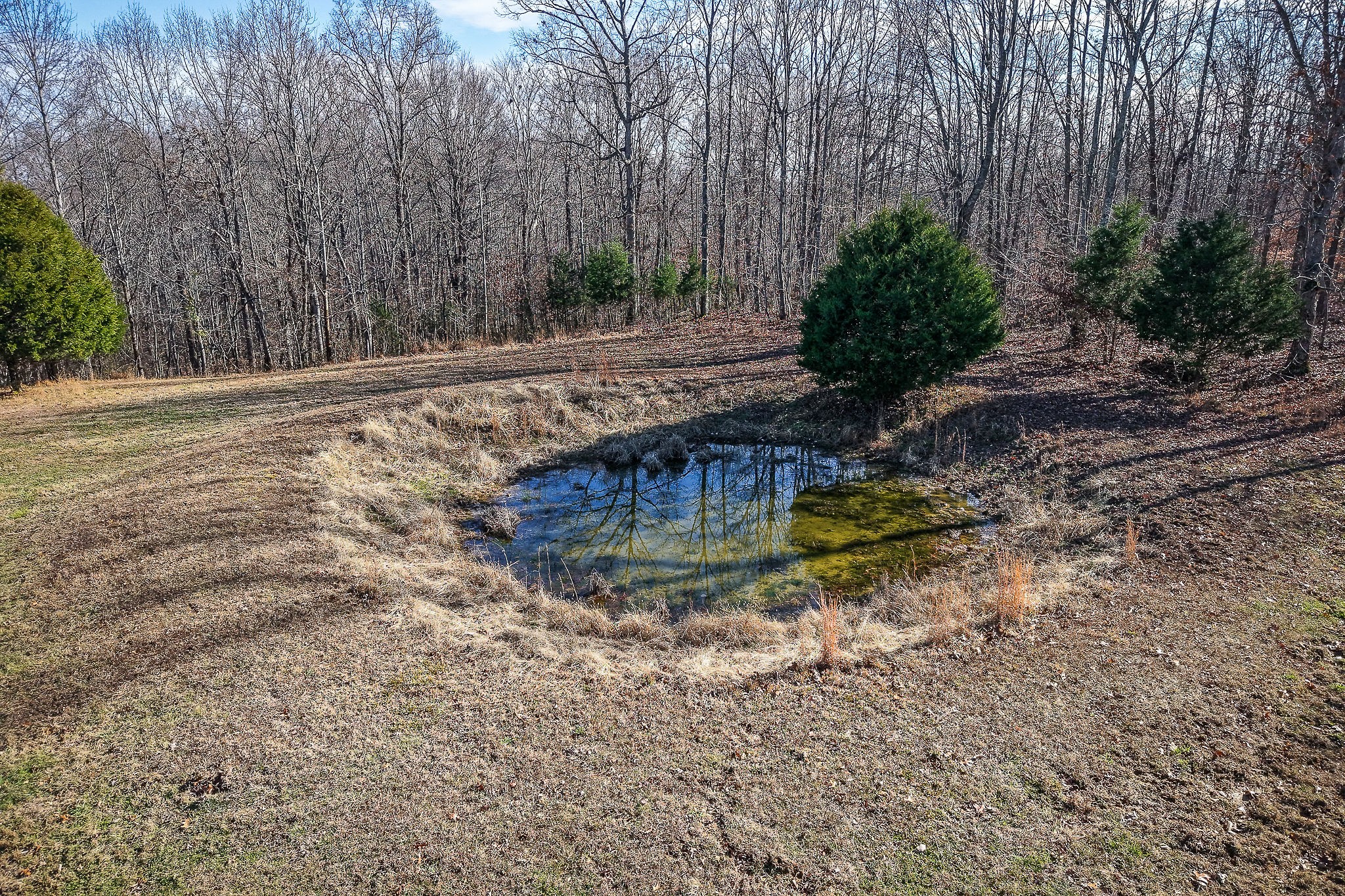 1772 South Fork Road Whitleyville, TN 38588 - Photo 7 of 38 a view of a water fountain with large trees