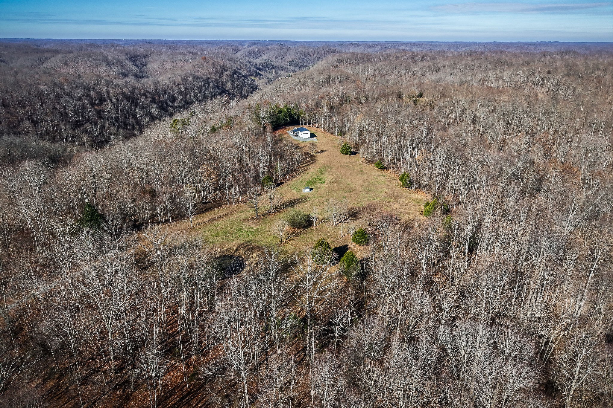1772 South Fork Road Whitleyville, TN 38588 - Photo 8 of 38 a view of a dry yard with trees