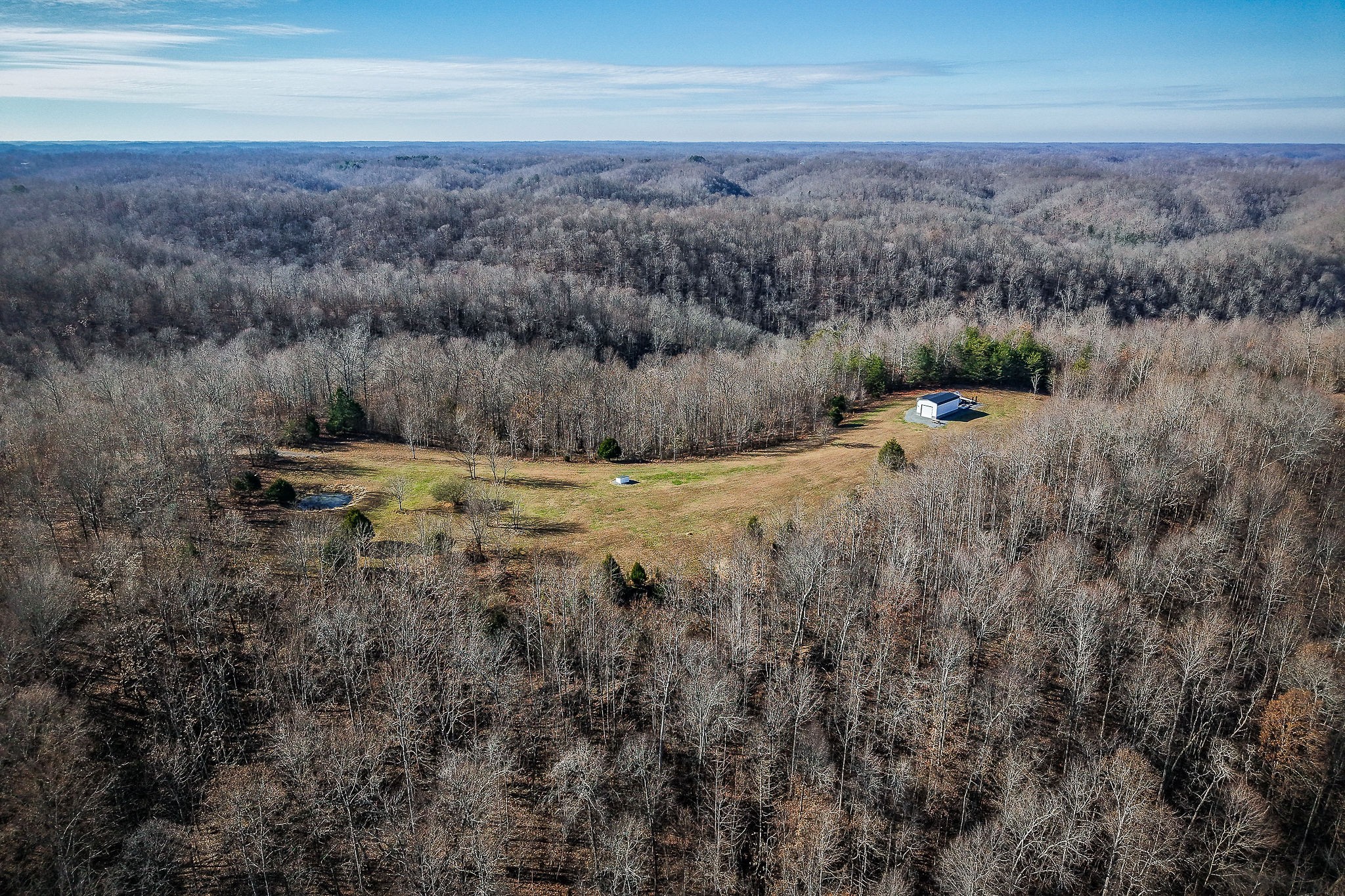 1772 South Fork Road Whitleyville, TN 38588 - Photo 9 of 38 a view of a dry yard with green space