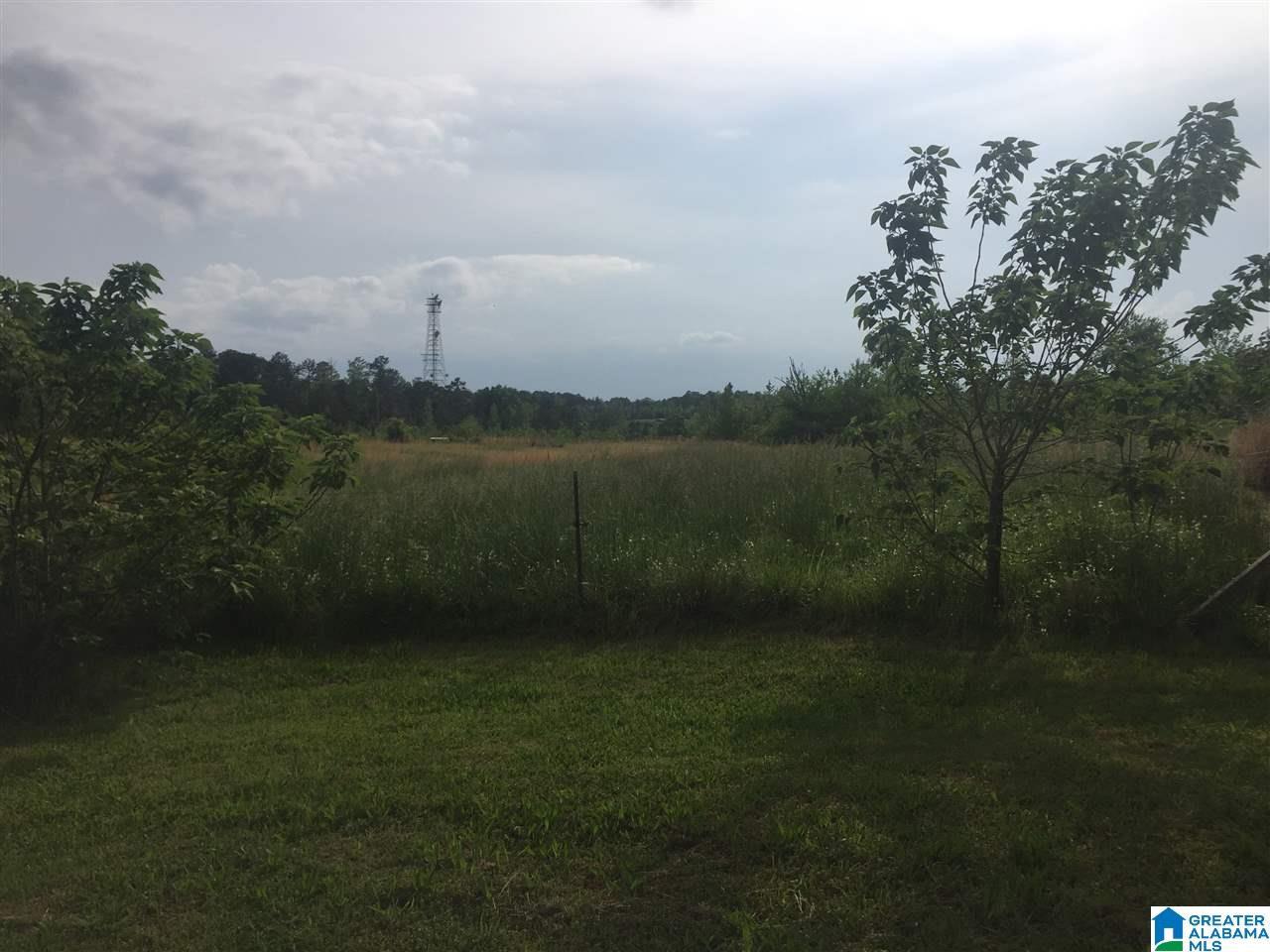 130 Justice Road Warrior, AL 35180 - Photo 2 of 4