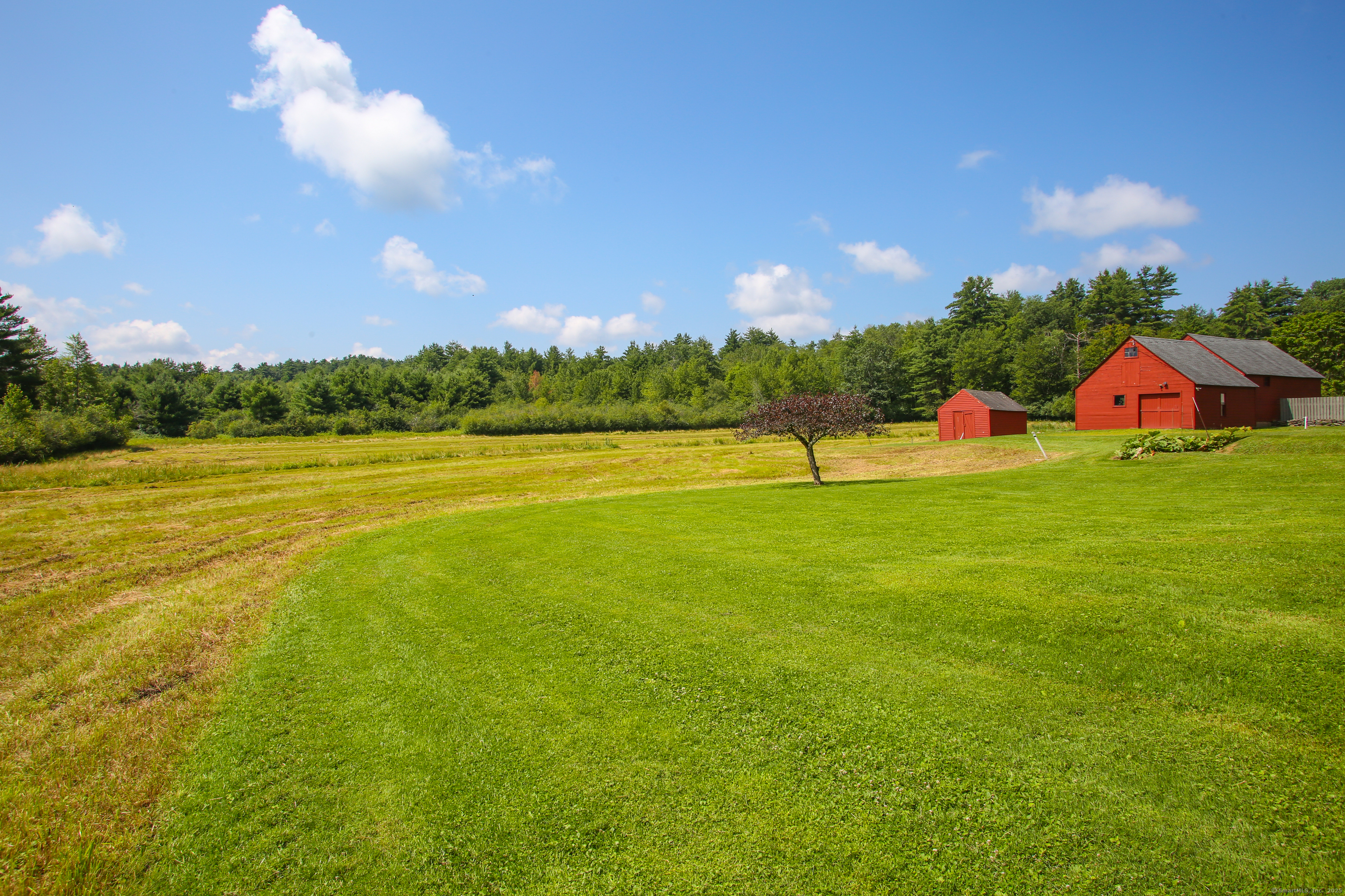 31 Sunset Ridge Road Norfolk, CT 06058 - Photo 22 of 33 a view of a lake with a big yard