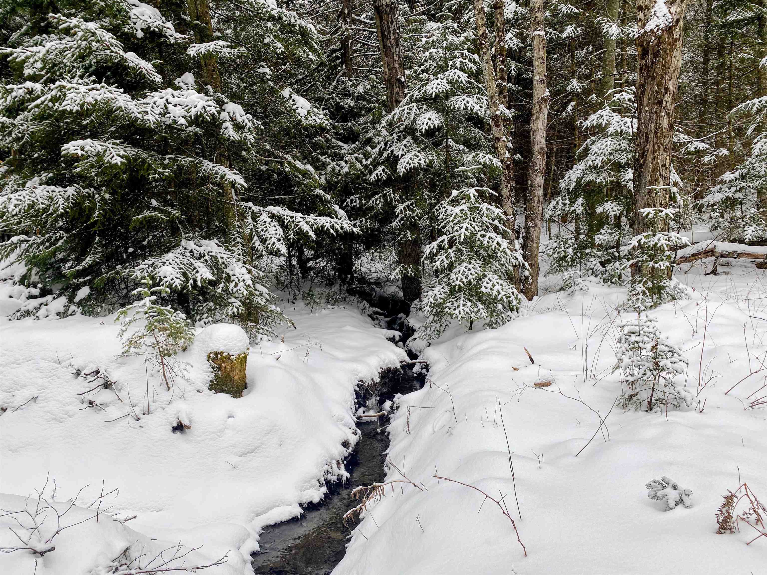 Shadow Lake Road Glover, VT 05839 - Photo 13 of 18 Gallery Image 13