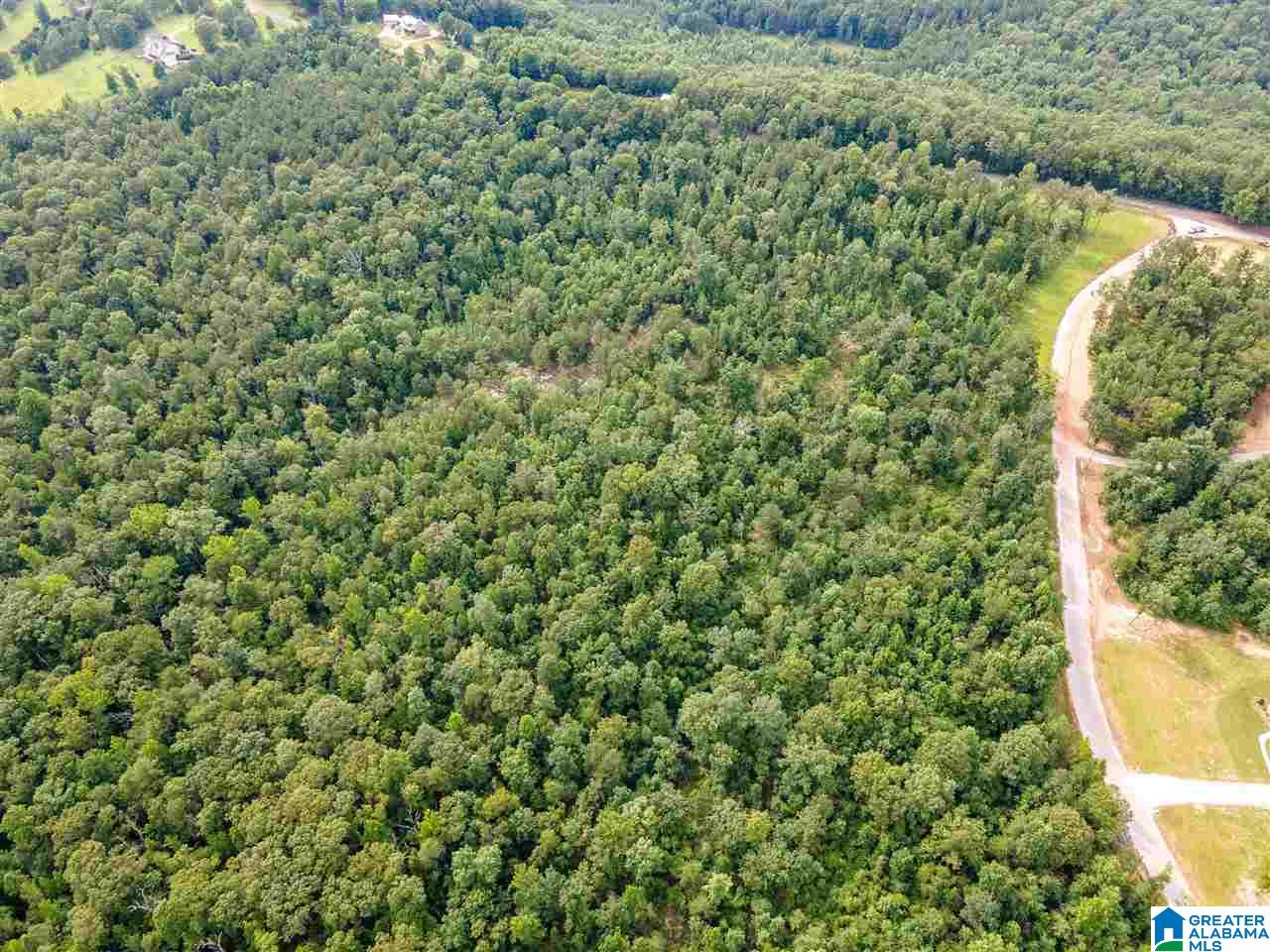 242 Spring Water Farms, Unit 1 Helena, AL 35022 - Photo 7 of 8