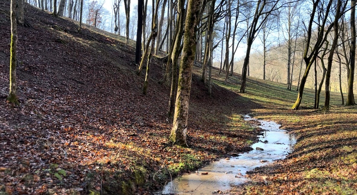 0 Skelley Road Santa Fe, TN 38482 - Photo 12 of 30 a view of a backyard of the house