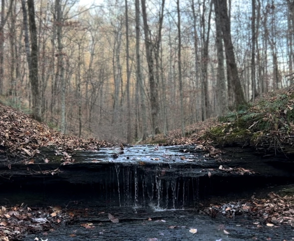 0 Skelley Road Santa Fe, TN 38482 - Photo 13 of 30 a view of a backyard of the house