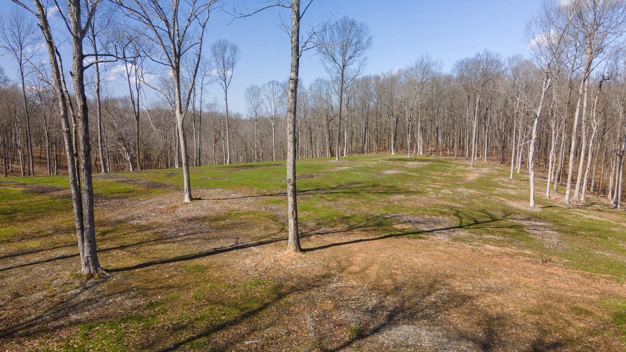 0 Skelley Road Santa Fe, TN 38482 - Photo 14 of 30