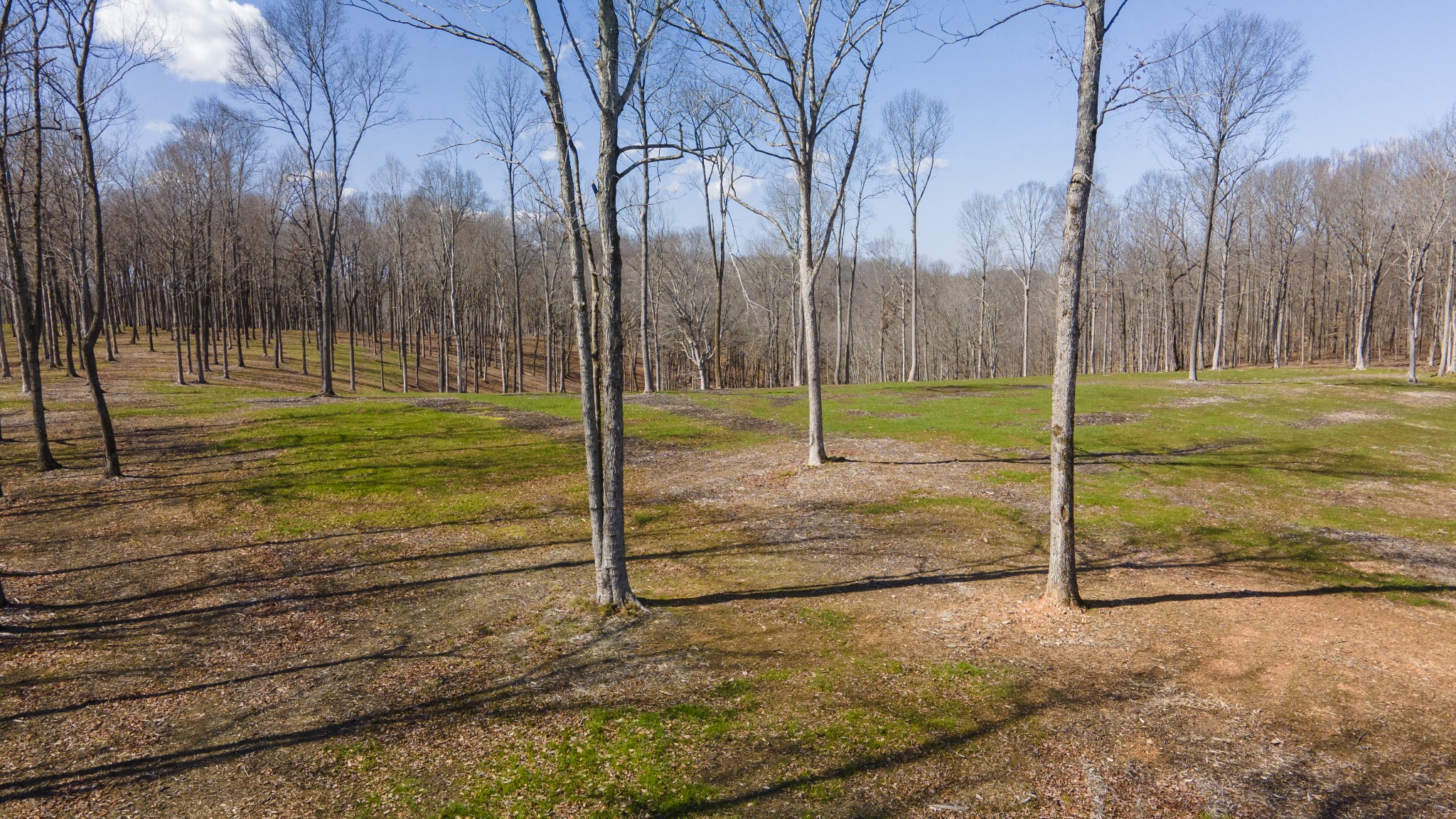 0 Skelley Road Santa Fe, TN 38482 - Photo 15 of 30 a view of a park with large trees
