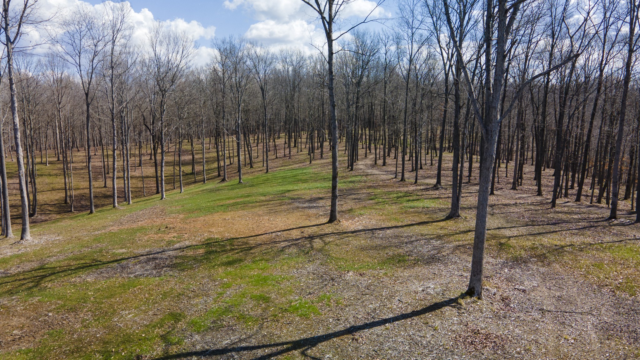 0 Skelley Road Santa Fe, TN 38482 - Photo 18 of 30 a view of a backyard