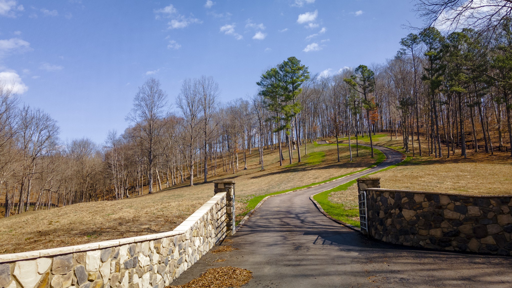 0 Skelley Road Santa Fe, TN 38482 - Photo 2 of 30 a view of a swimming pool with a patio