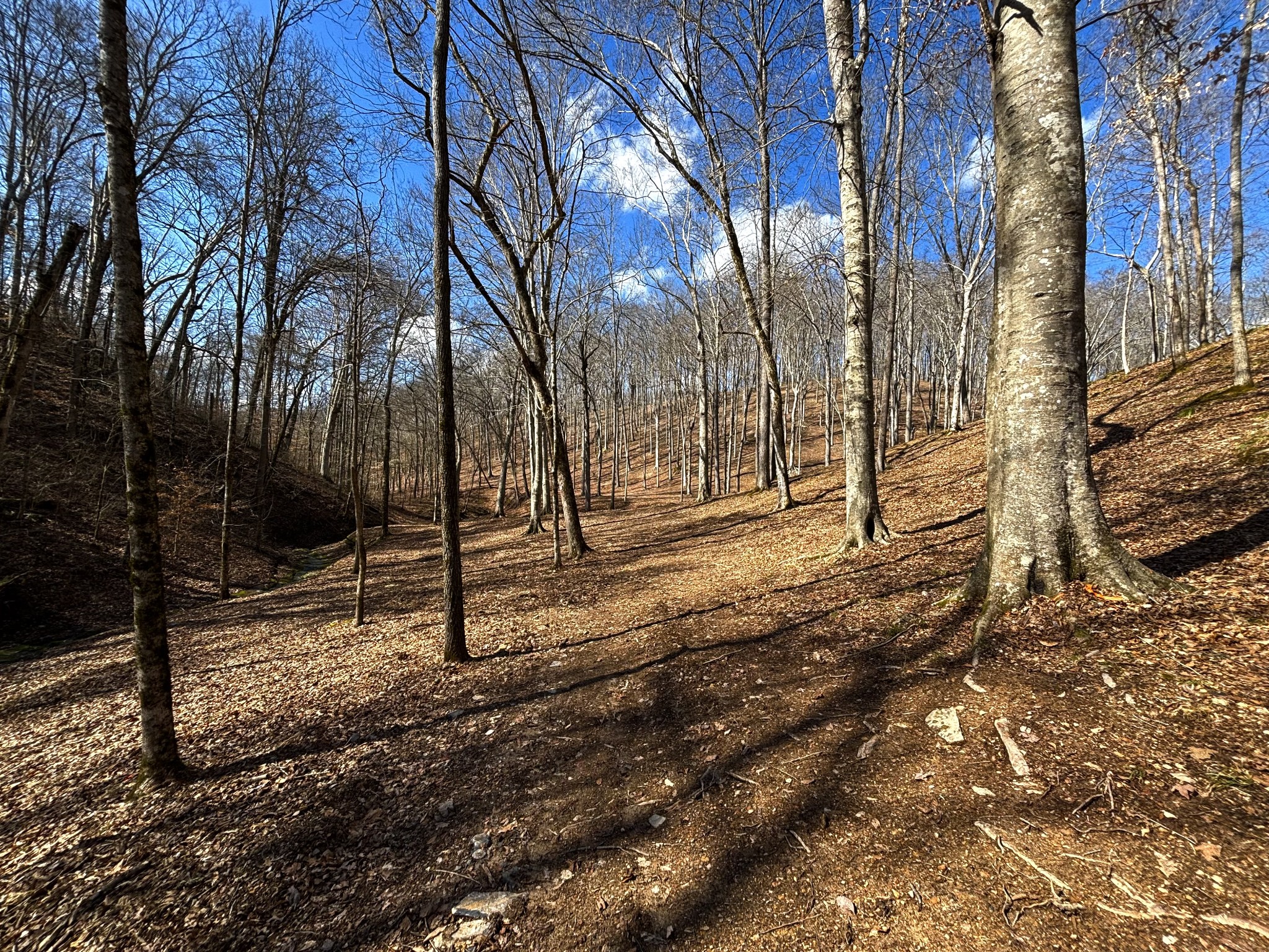 0 Skelley Road Santa Fe, TN 38482 - Photo 21 of 30 a view of snow on the side of the road