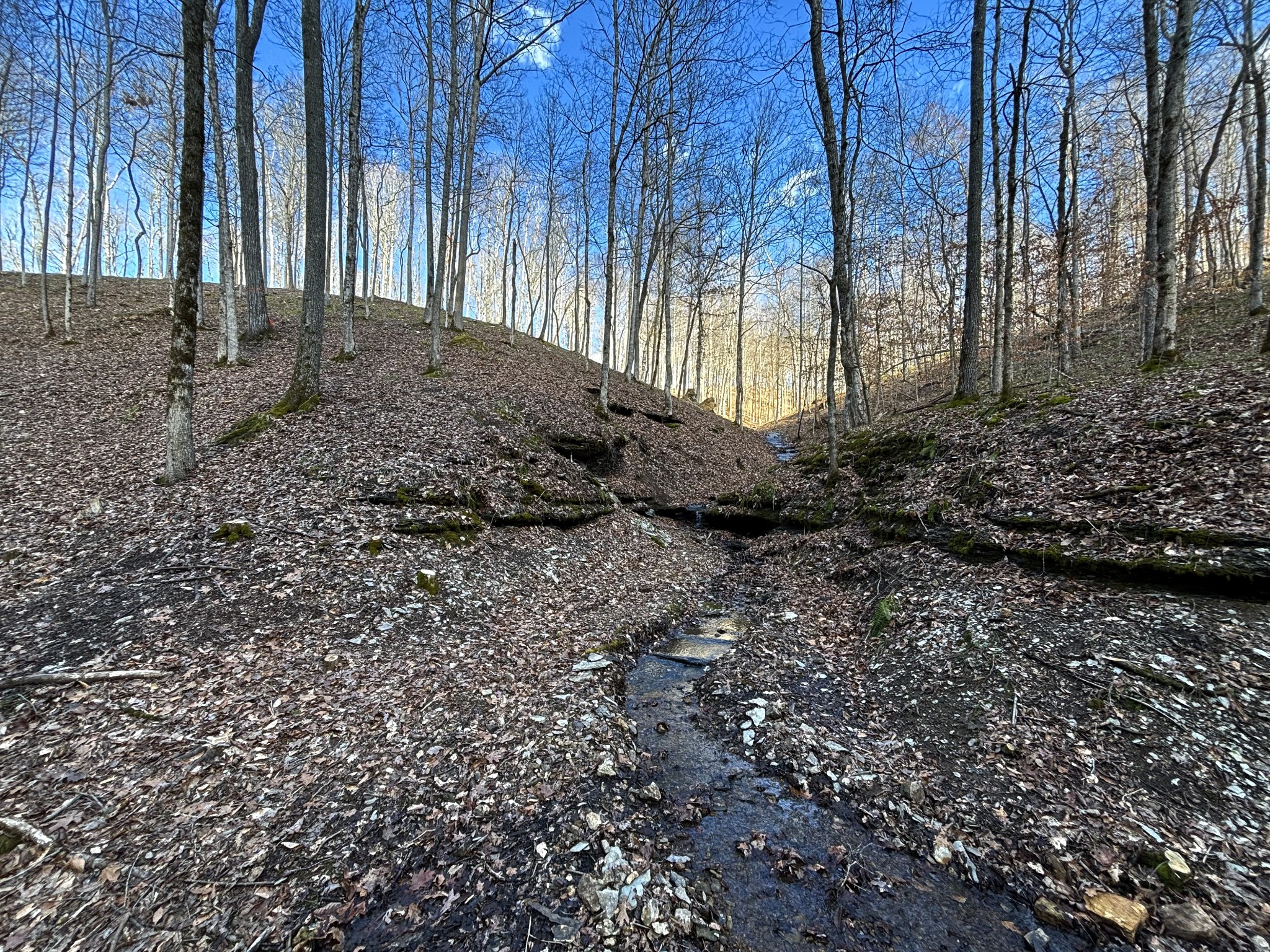 0 Skelley Road Santa Fe, TN 38482 - Photo 22 of 30 a view of outdoor space and yard