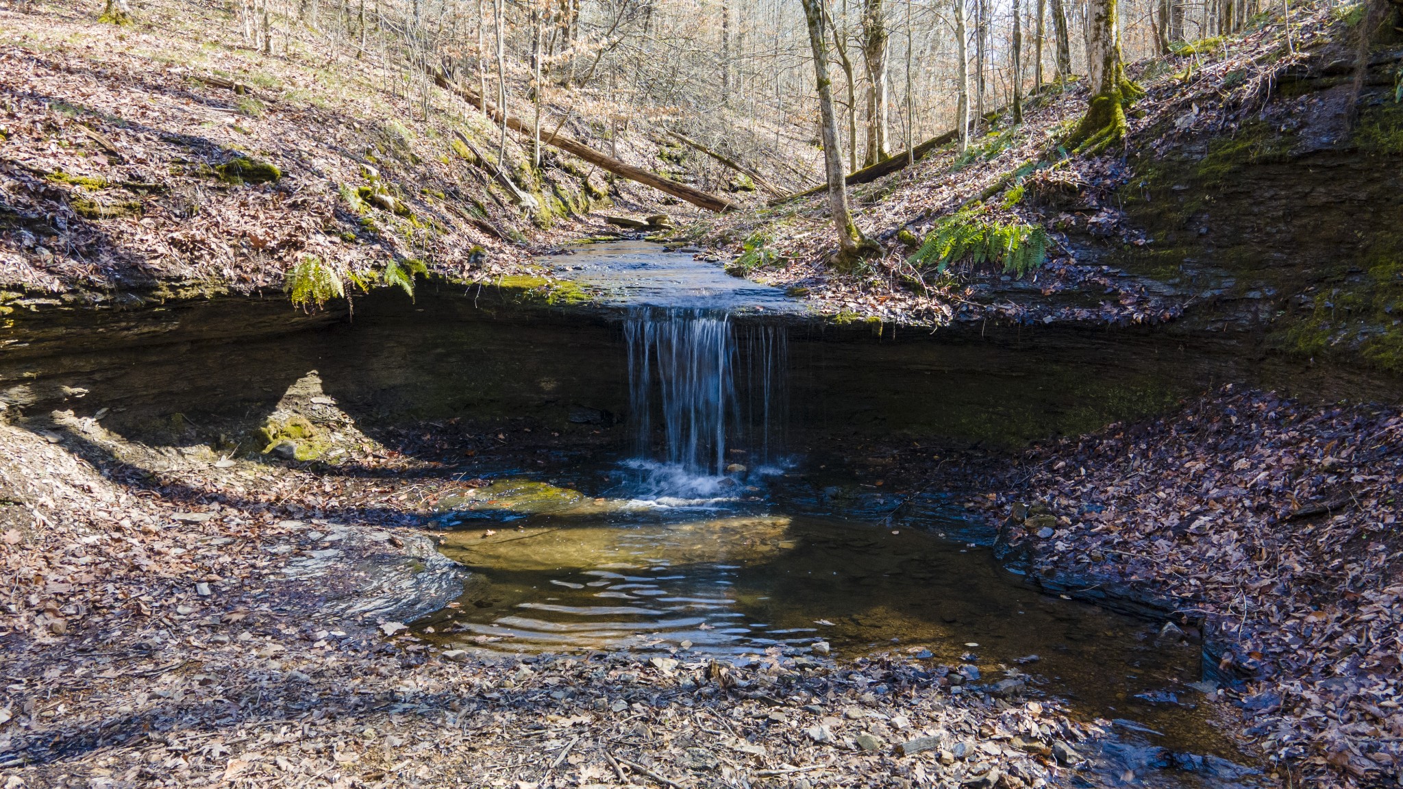 0 Skelley Road Santa Fe, TN 38482 - Photo 24 of 30 a view of a back yard of the house and a lake view