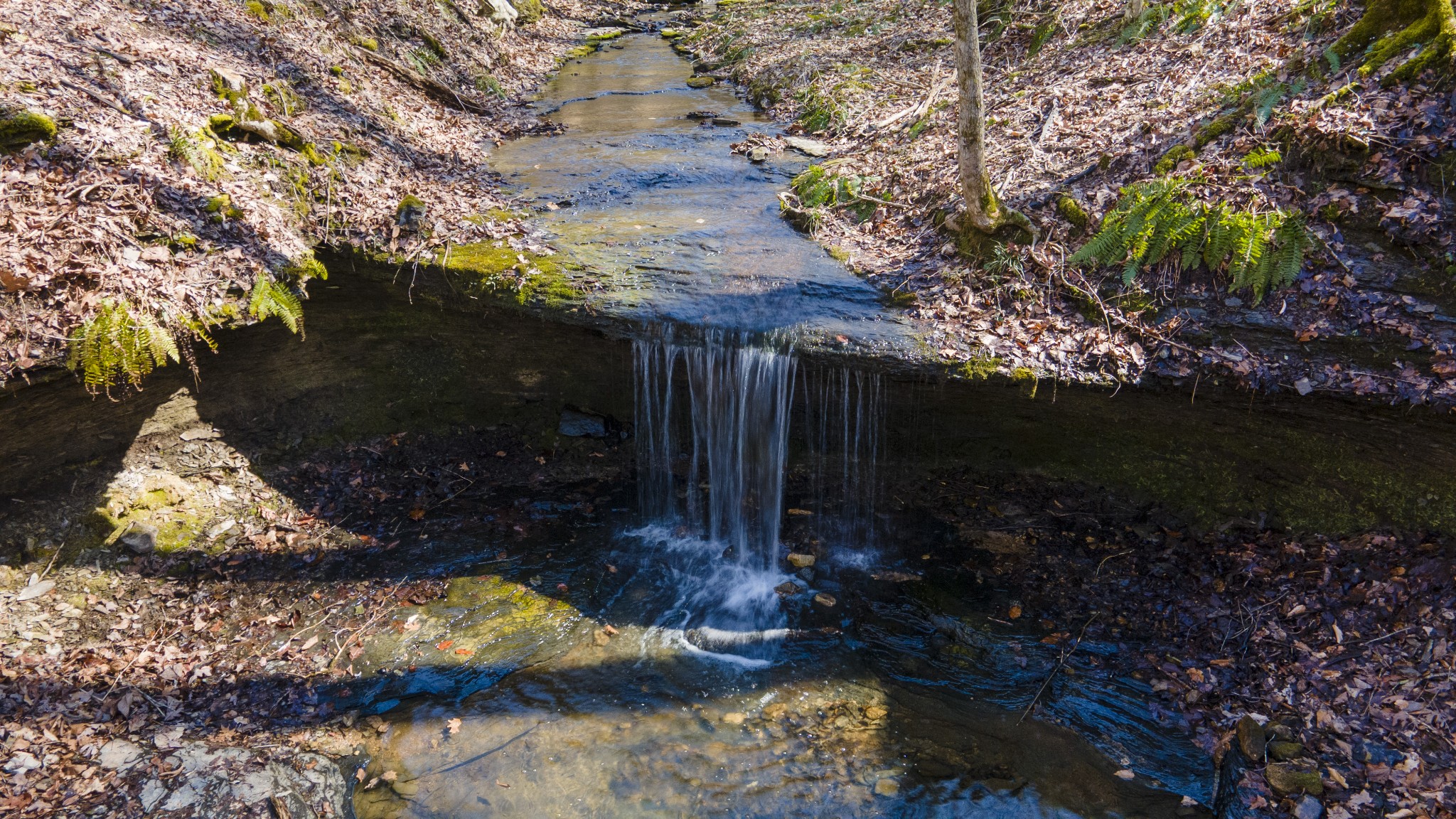 0 Skelley Road Santa Fe, TN 38482 - Photo 25 of 30 a backyard of a house