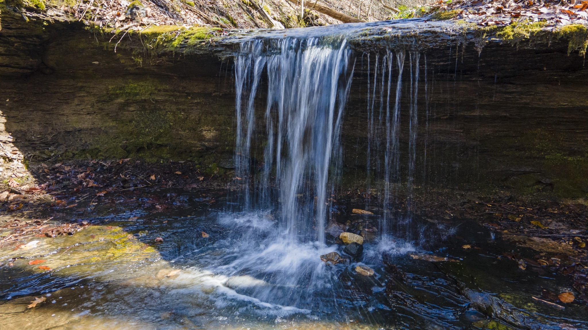 0 Skelley Road Santa Fe, TN 38482 - Photo 26 of 30 a view of a backyard of the house