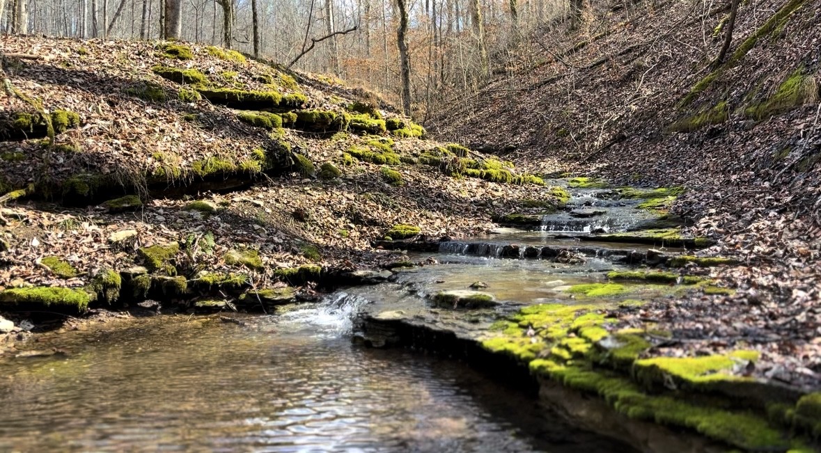 0 Skelley Road Santa Fe, TN 38482 - Photo 28 of 30 a view of swimming pool with lawn chairs and plants