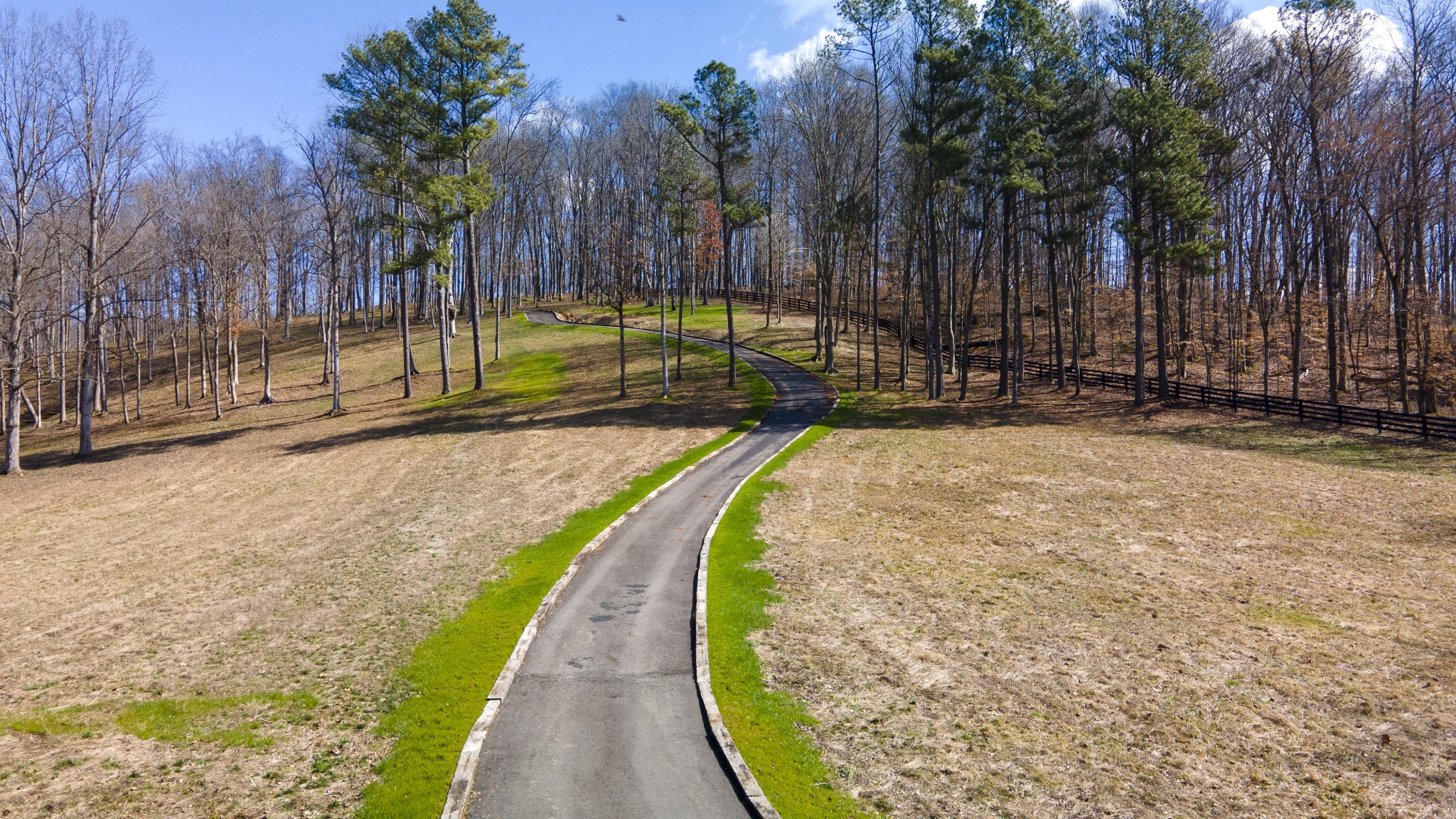 0 Skelley Road Santa Fe, TN 38482 - Photo 3 of 30 a view of a park with large trees