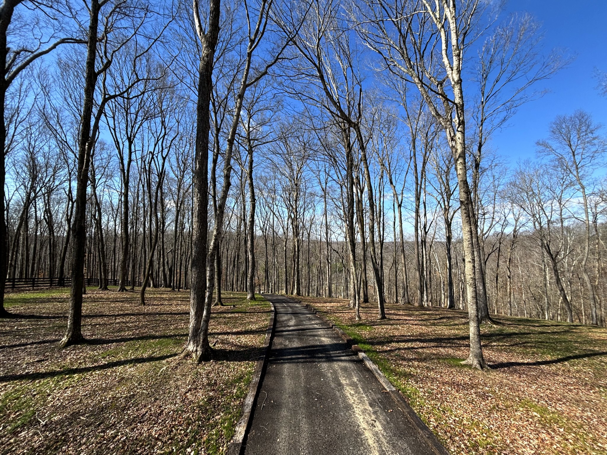 0 Skelley Road Santa Fe, TN 38482 - Photo 5 of 30 a view of a backyard