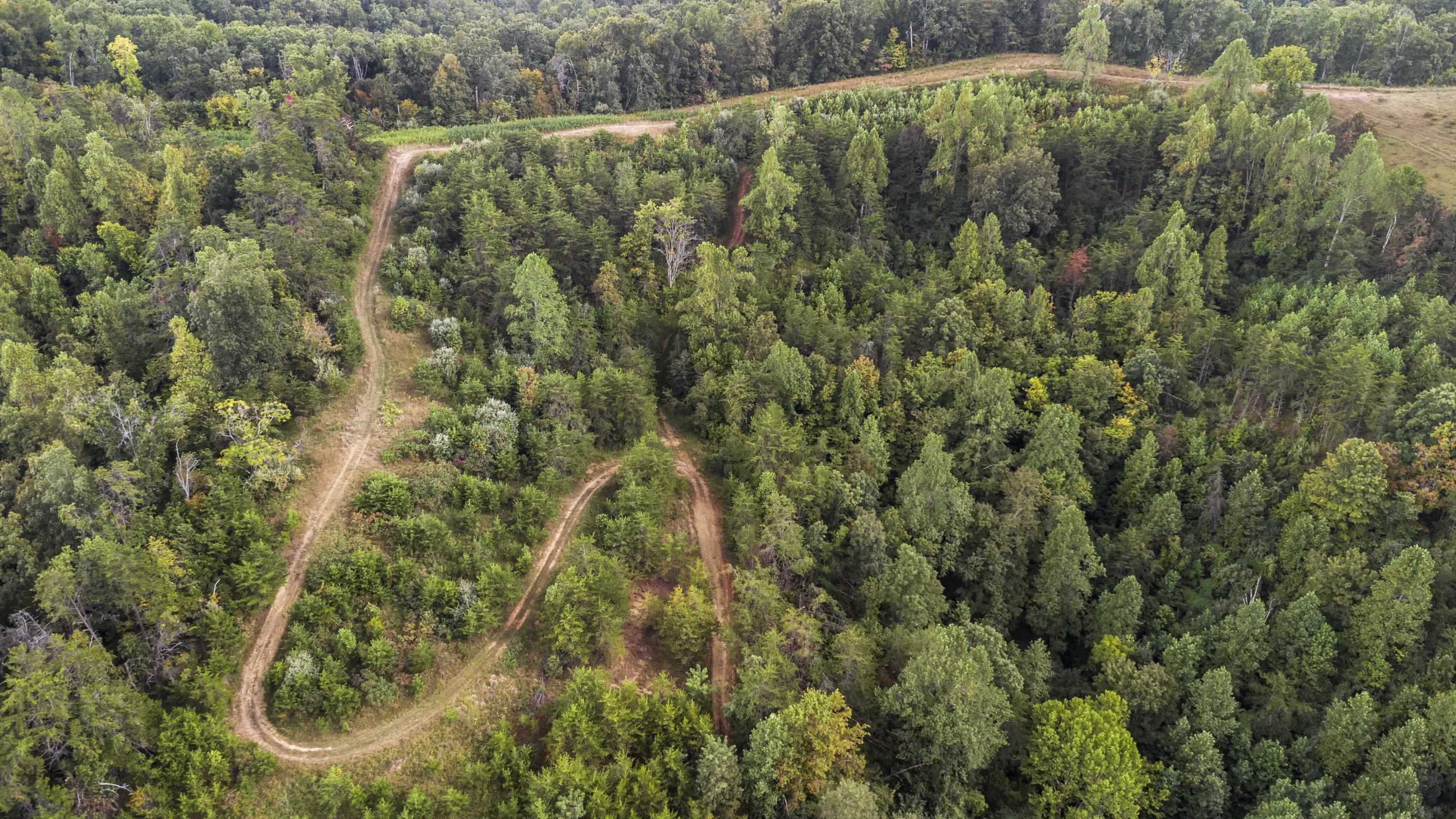 122 Clay Jack Road Rush, KY 41168 - Photo 47 of 49 Gallery Image 47
