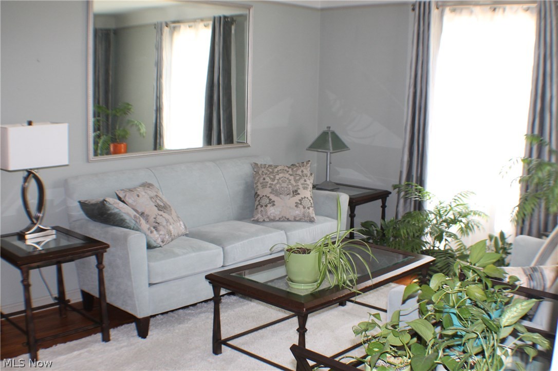 1207 Gordon Road Lyndhurst, OH 44124 - Photo 3 of 33 BEAUTIFUL BRIGHT LIVING ROOM