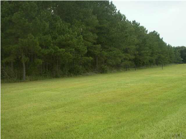5567 Allie Rae Street Milton, FL 32570 - Photo 5 of 10 Gallery Image 5