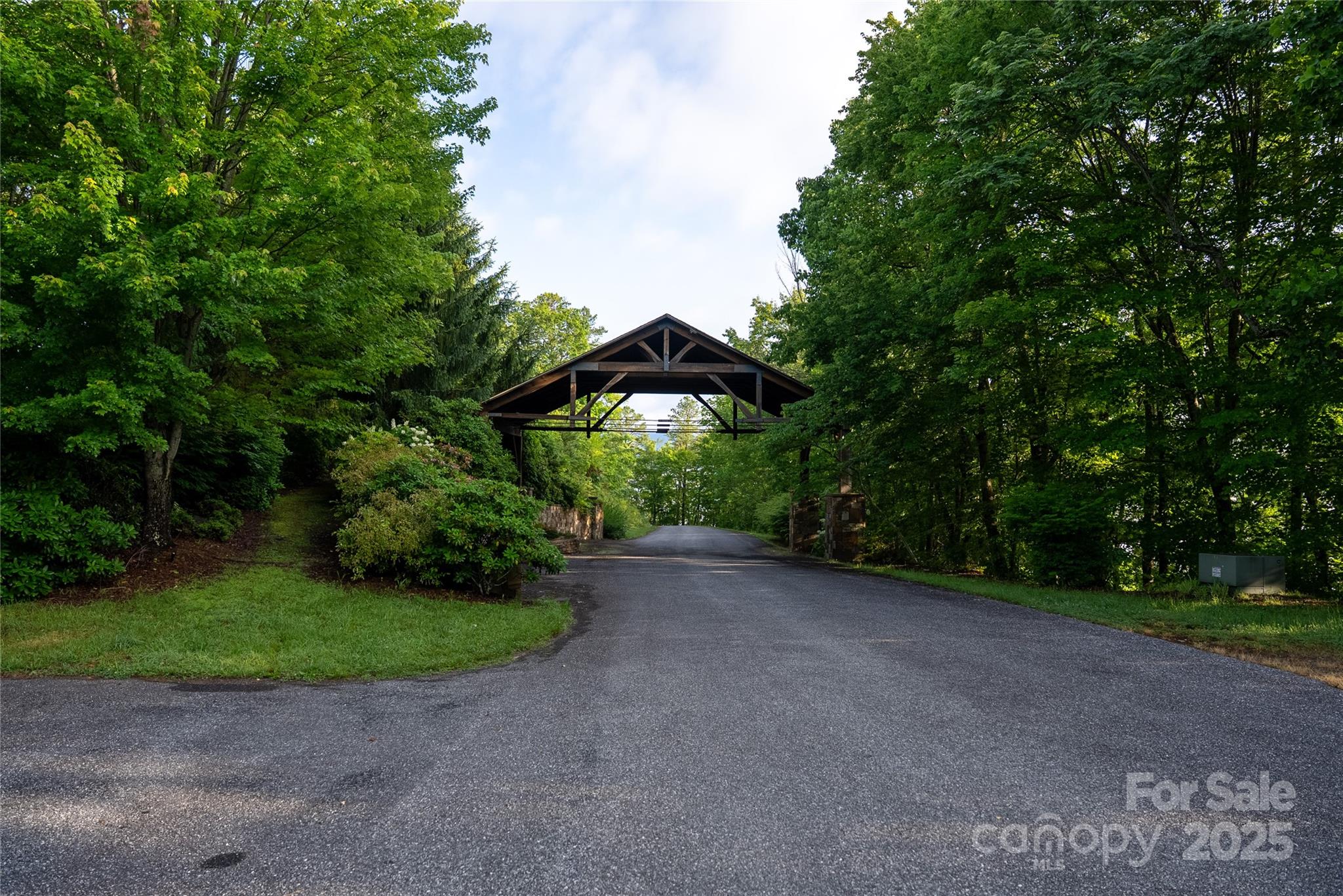 0 Upper Dalton Creek Road Franklin, NC 28734 - Photo 2 of 34 a view of a garden with a small yard