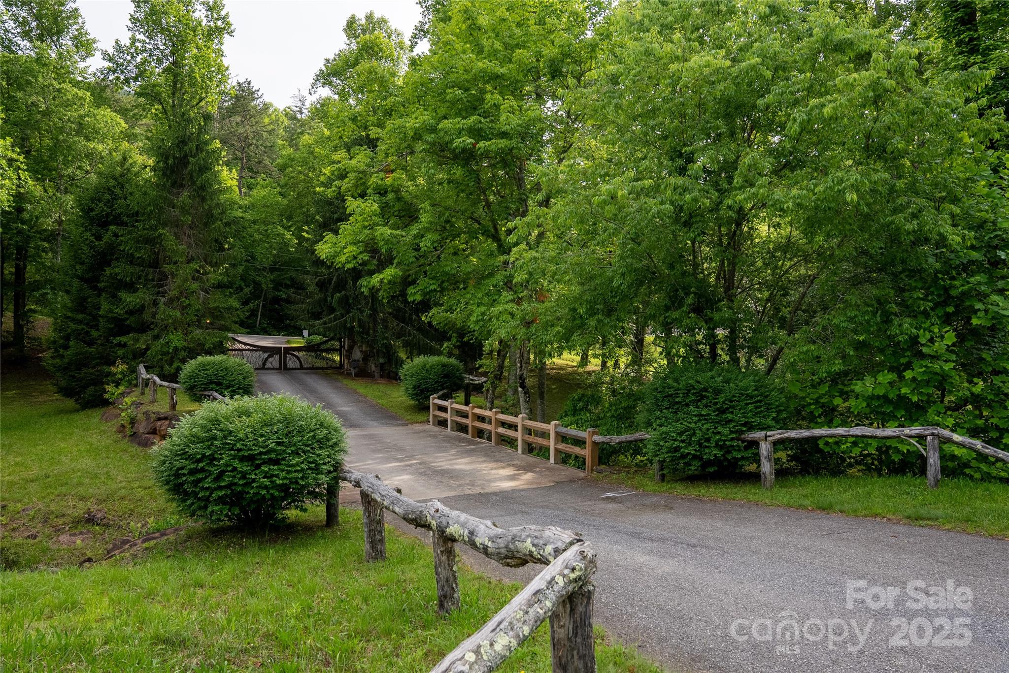 0 Upper Dalton Creek Road Franklin, NC 28734 - Photo 27 of 34 a view of a backyard with plants