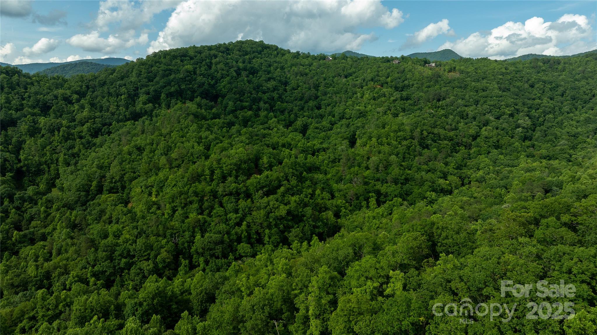 0 Upper Dalton Creek Road Franklin, NC 28734 - Photo 31 of 34 a view of a lush green forest with lots of bushes