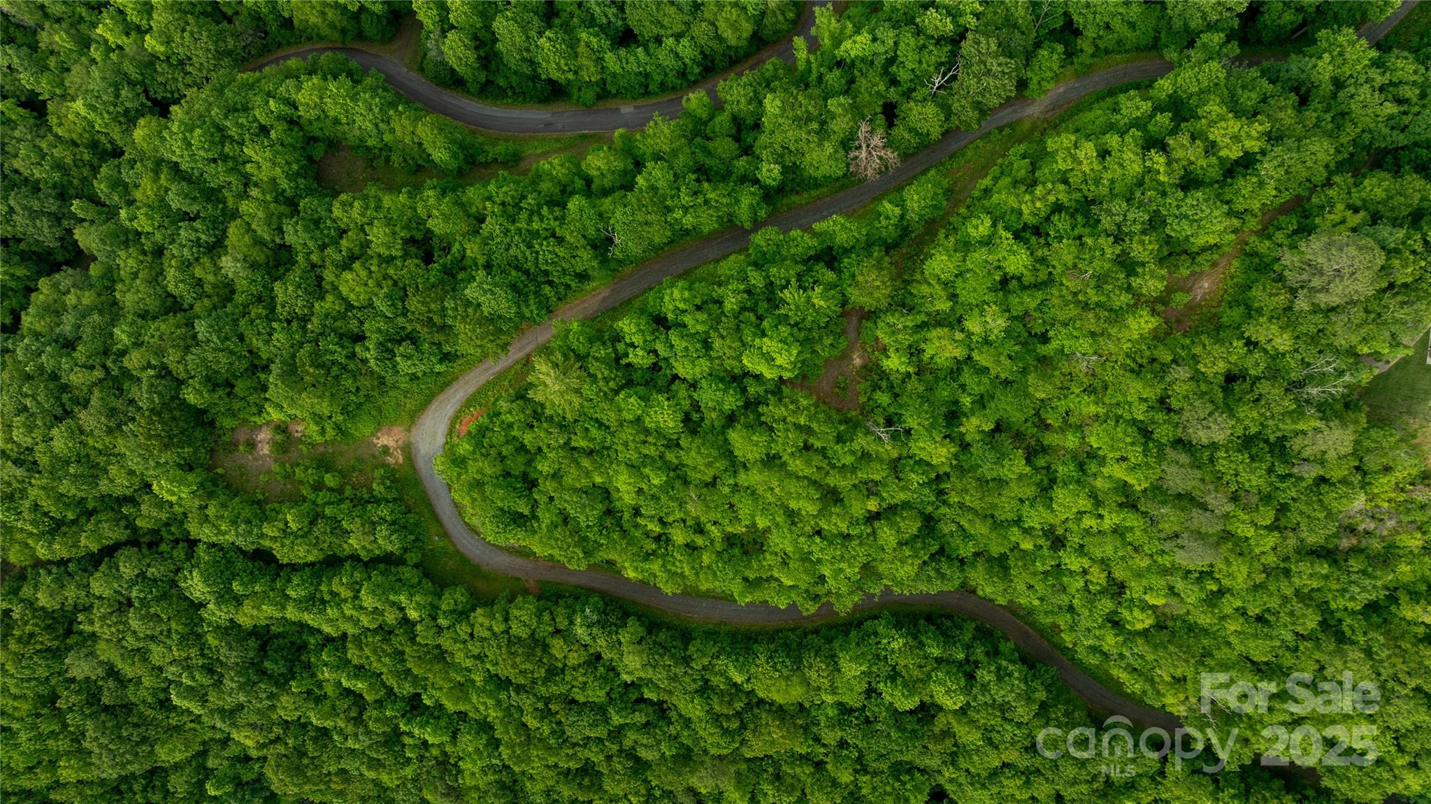 0 Upper Dalton Creek Road Franklin, NC 28734 - Photo 4 of 34 a view of a garden