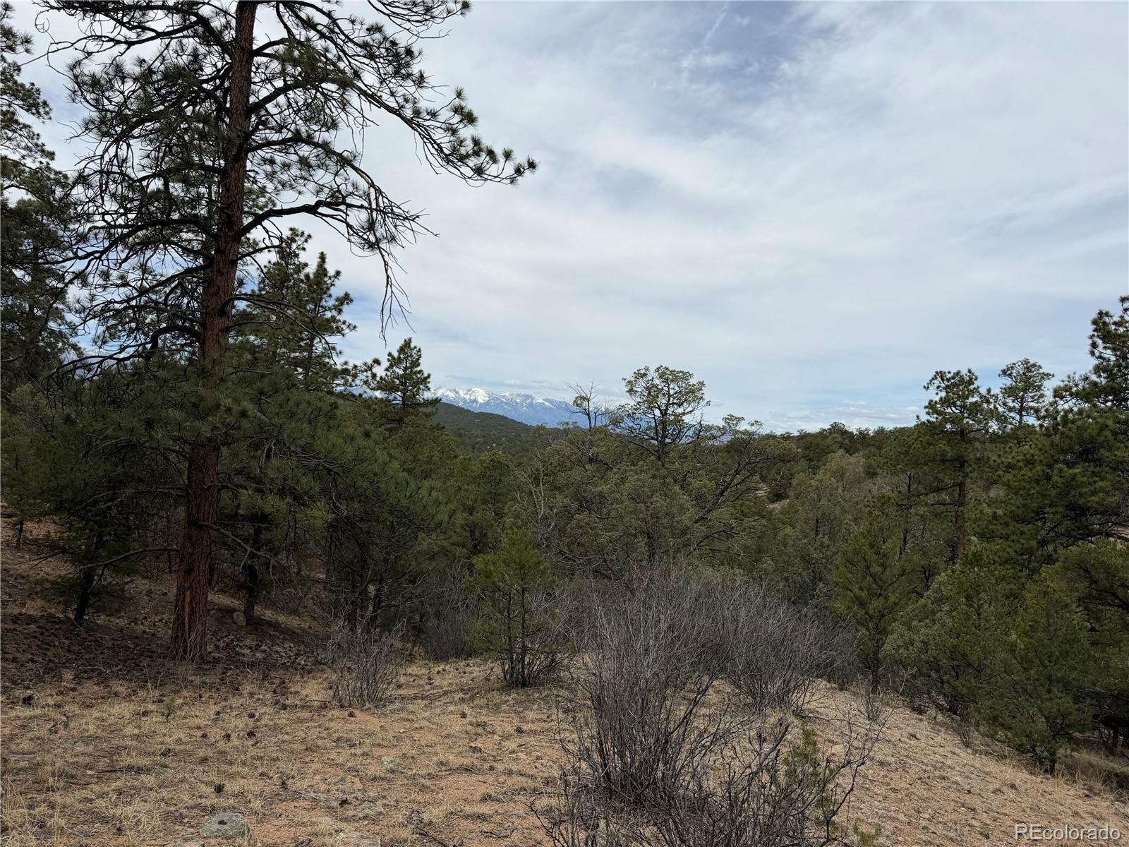 672 Coyote Run Road Cotopaxi, CO 81223 - Photo 14 of 26