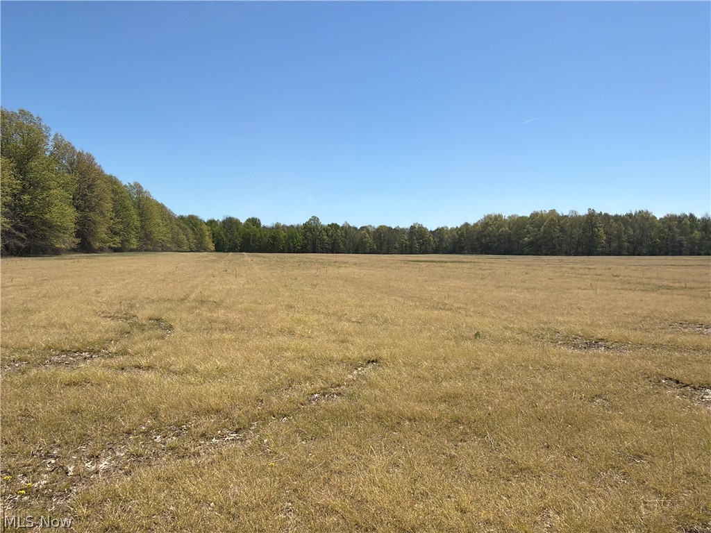 Station Road Columbia Station, OH 44028 - Photo 1 of 22 Expansive open field bordered by mature trees