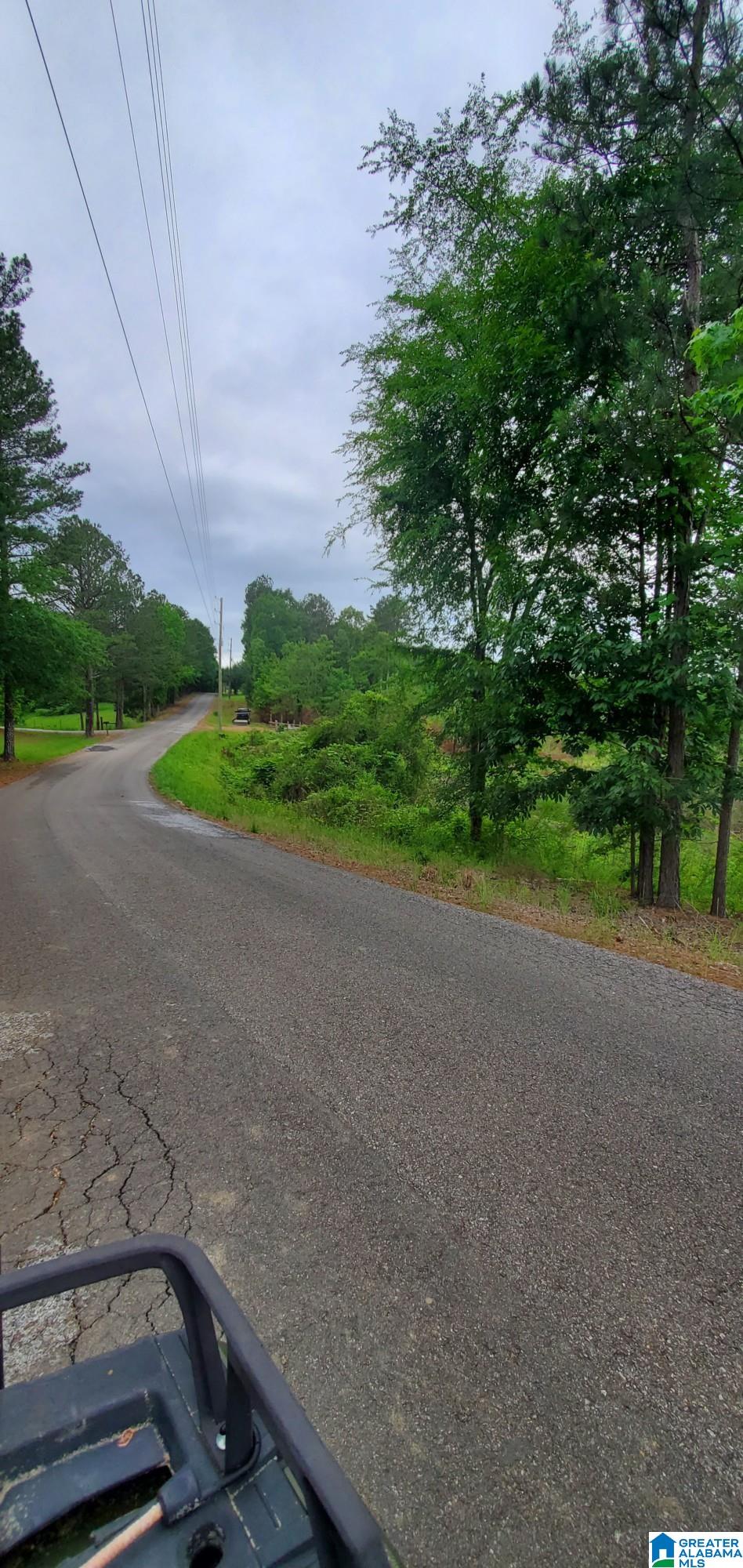 0 Bailey Springs Road Ohatchee, AL 36271 - Photo 6 of 10