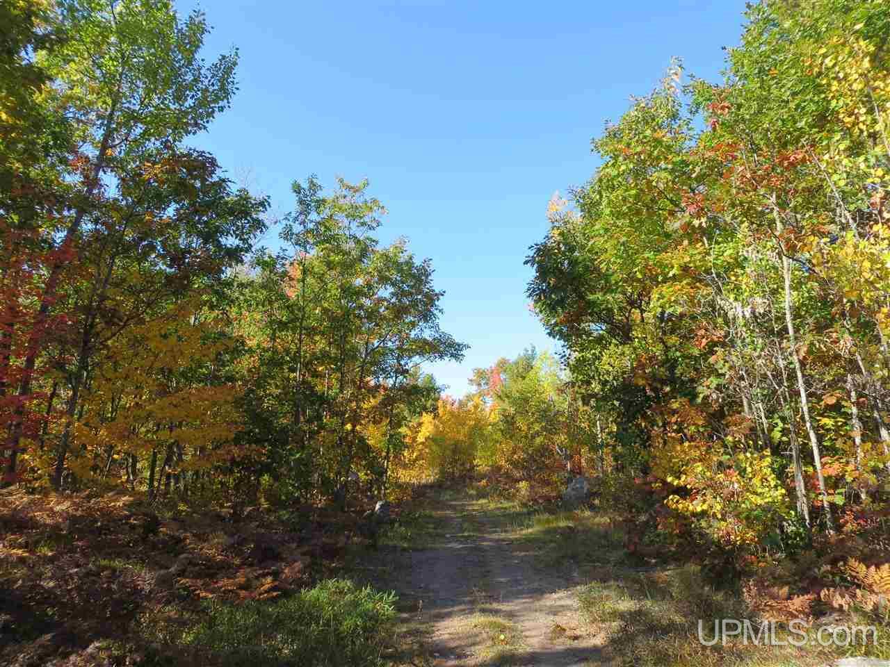 Tbd Co Rd Ff Republic, MI 49879 - Photo 3 of 29