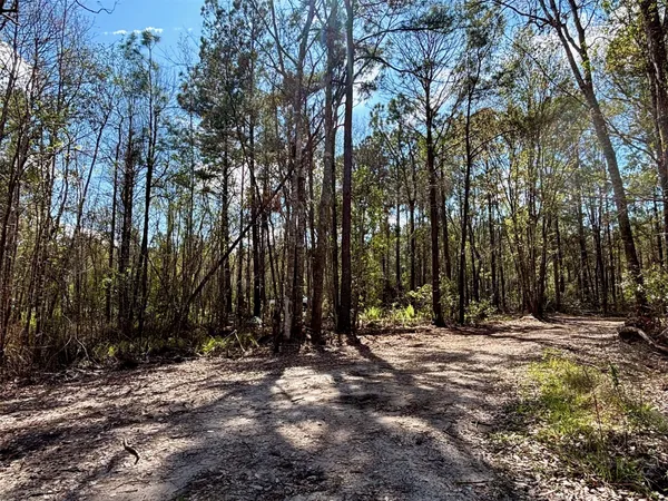 $99,000 | 37125 Anna Marie Lane, Hilliard, FL 32046