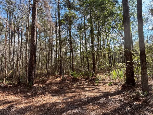 $99,000 | 37125 Anna Marie Lane, Hilliard, FL 32046