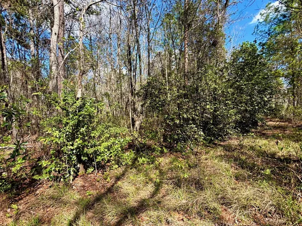 $99,000 | 37125 Anna Marie Lane, Hilliard, FL 32046