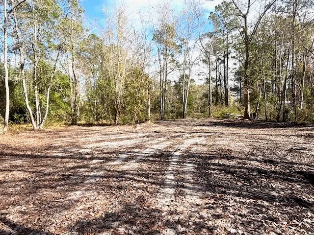 a view of outdoor space with trees