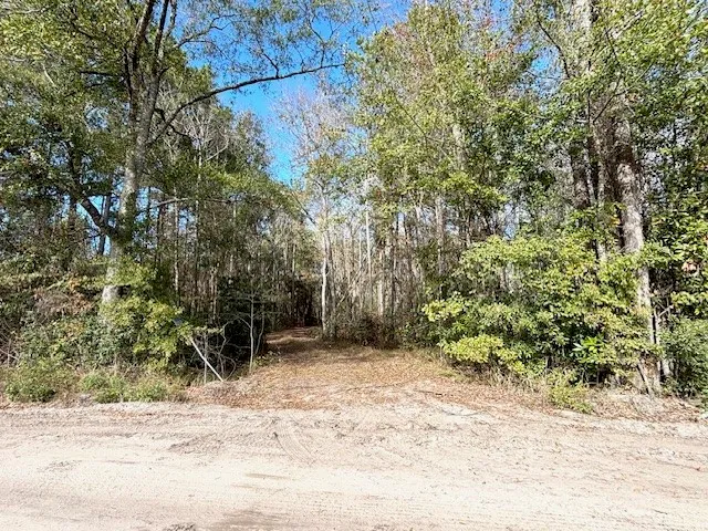 a view of wooden fence and trees