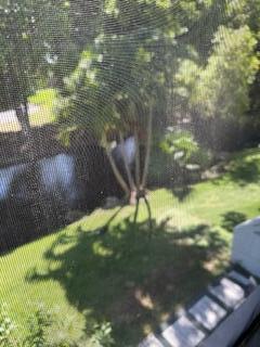 a backyard of a house