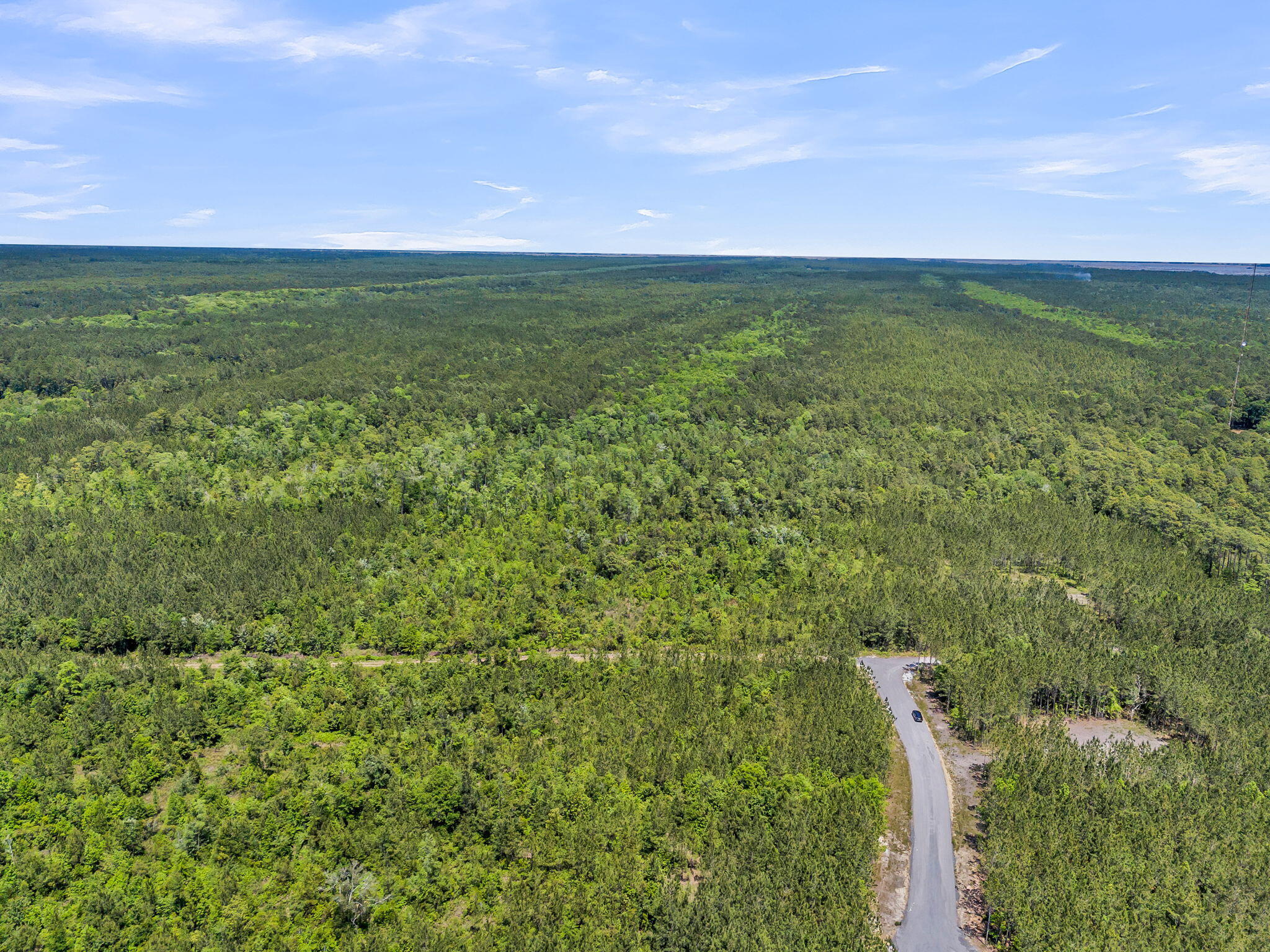 0 Deas Hill Road McClellanville, SC 29458 - Photo 2 of 20
