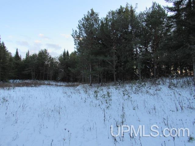 Tbd Tbd Tower Perkins, MI 49872 - Photo 15 of 22