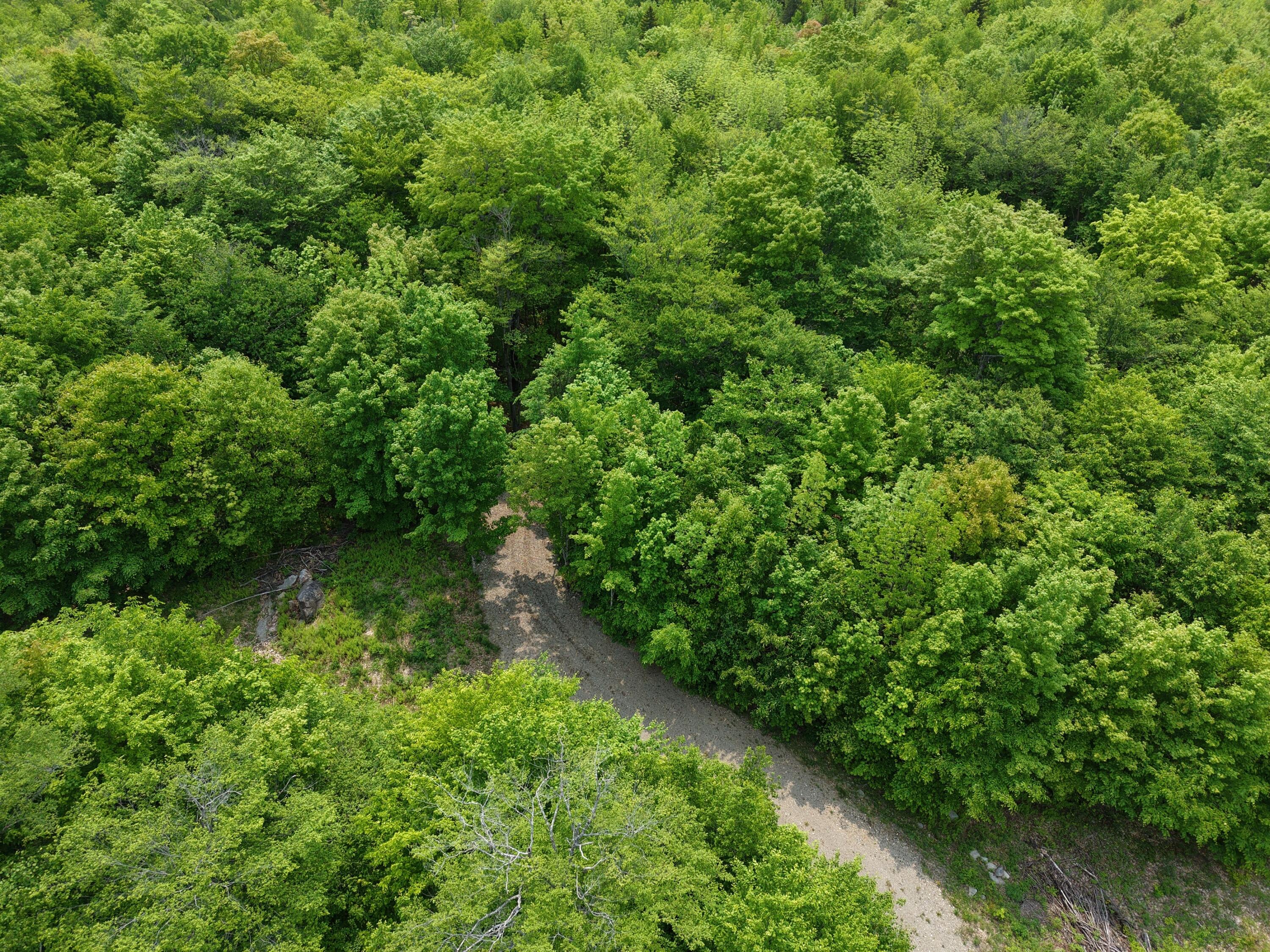 14 Ira Mountain Road Kingfield, ME 04947 - Photo 13 of 55 DJI_20250604104940_0010_D