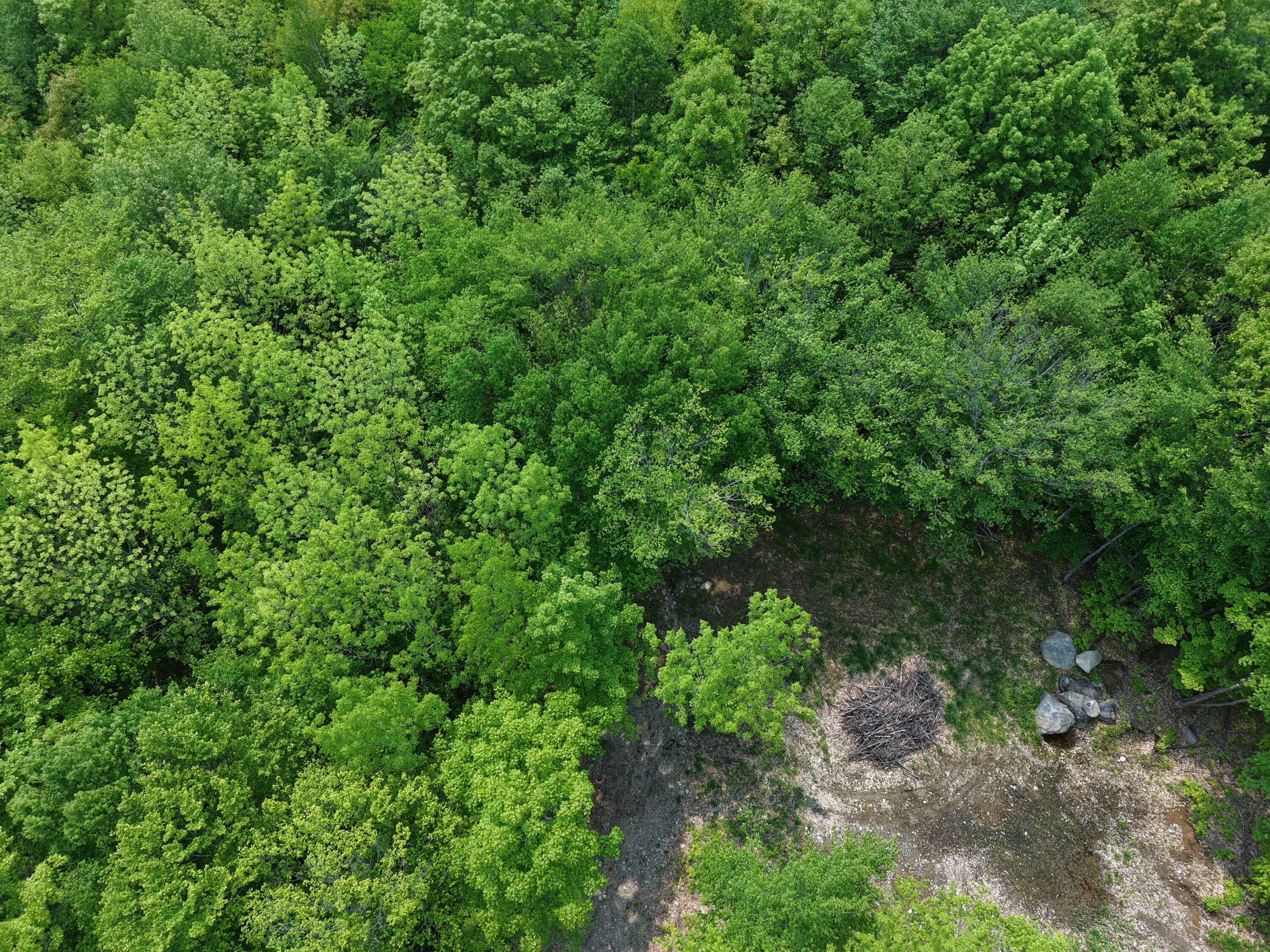 14 Ira Mountain Road Kingfield, ME 04947 - Photo 17 of 55 DJI_20250604104754_0004_D