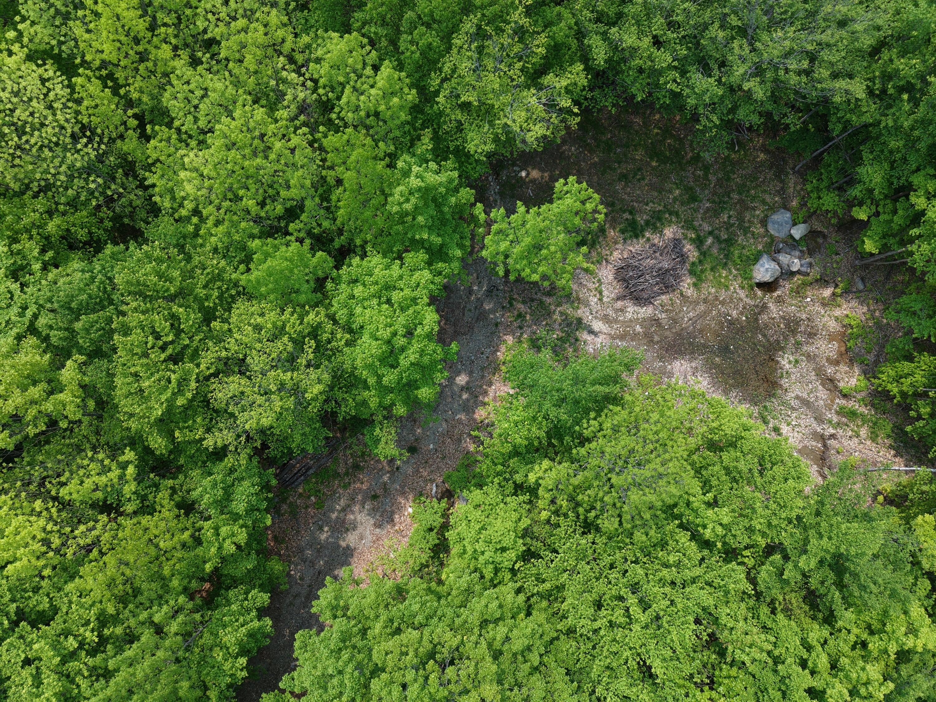 14 Ira Mountain Road Kingfield, ME 04947 - Photo 18 of 55 DJI_20250604104802_0005_D