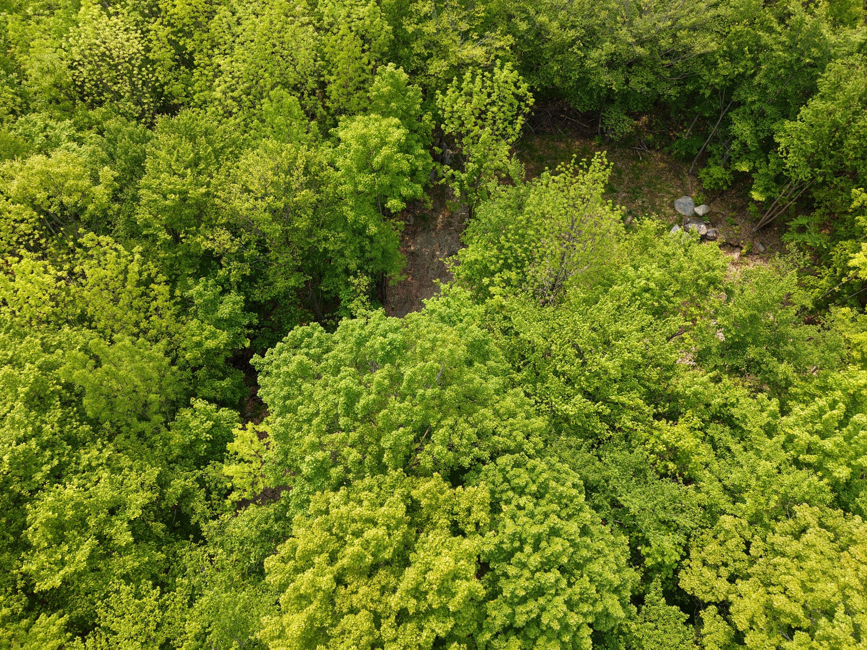 14 Ira Mountain Road Kingfield, ME 04947 - Photo 19 of 55 DJI_20250604104736_0003_D