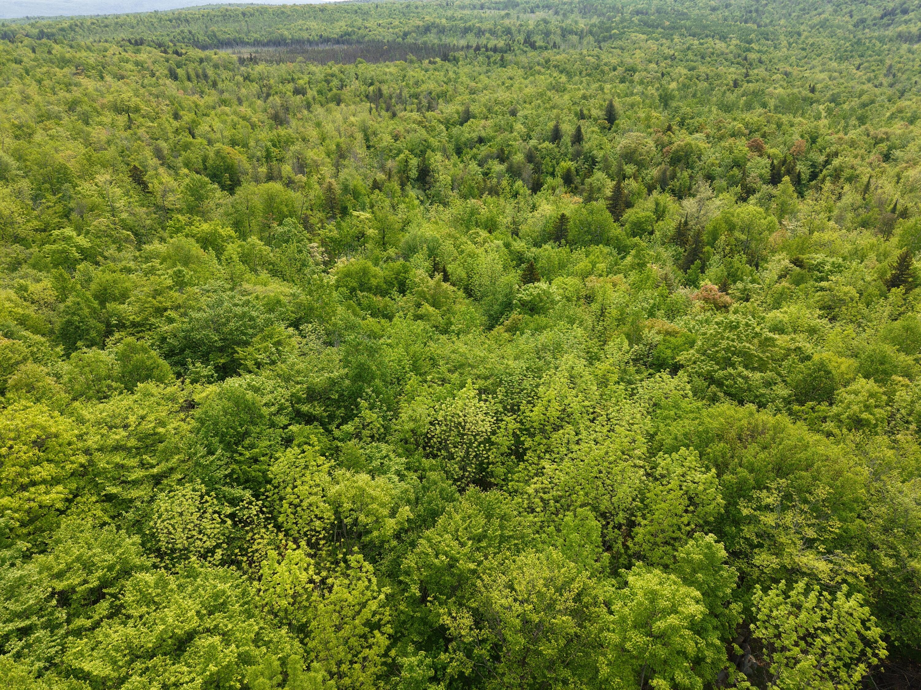 14 Ira Mountain Road Kingfield, ME 04947 - Photo 20 of 55 DJI_20250604104726_0002_D