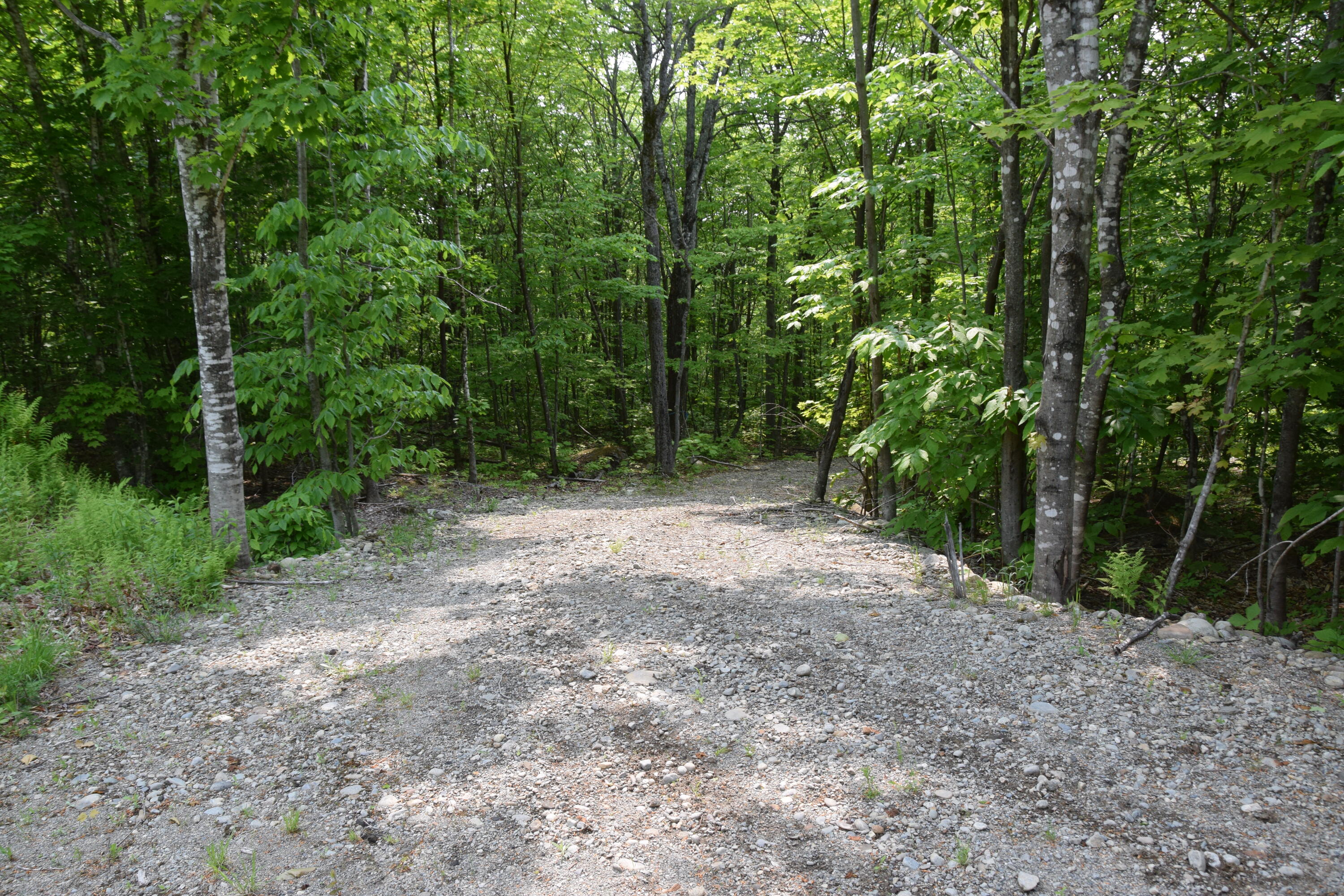 14 Ira Mountain Road Kingfield, ME 04947 - Photo 2 of 55 DSC_0001