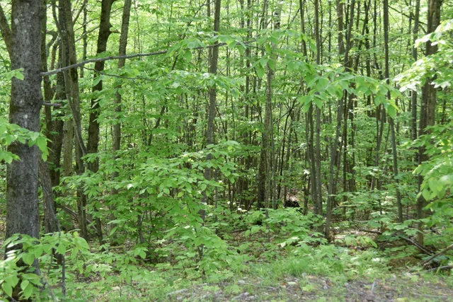 $117,000 | 14 Ira Mountain Road, Kingfield, ME 04947