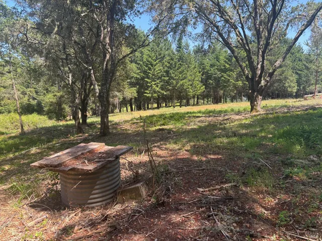 a view of a yard with trees