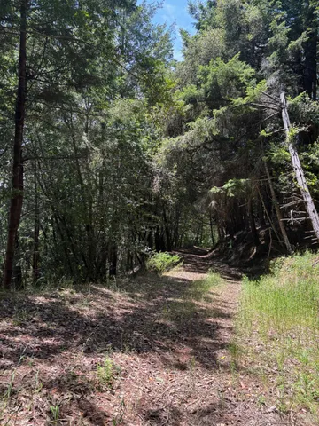 a view of backyard with green space